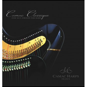 Camac String Classique Gut - 1st Octave (7 strings) Camac String Classique Gut - 1st Octave (7 strings)